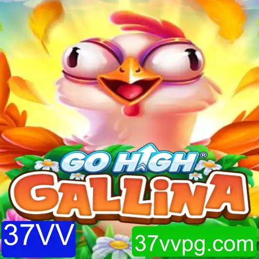 Explorando o Fascinante Mundo de GoHighGallina